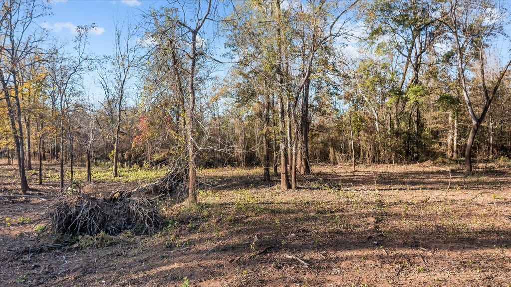 PARCEL #41258 Hwy 94, Lufkin, TX 75904