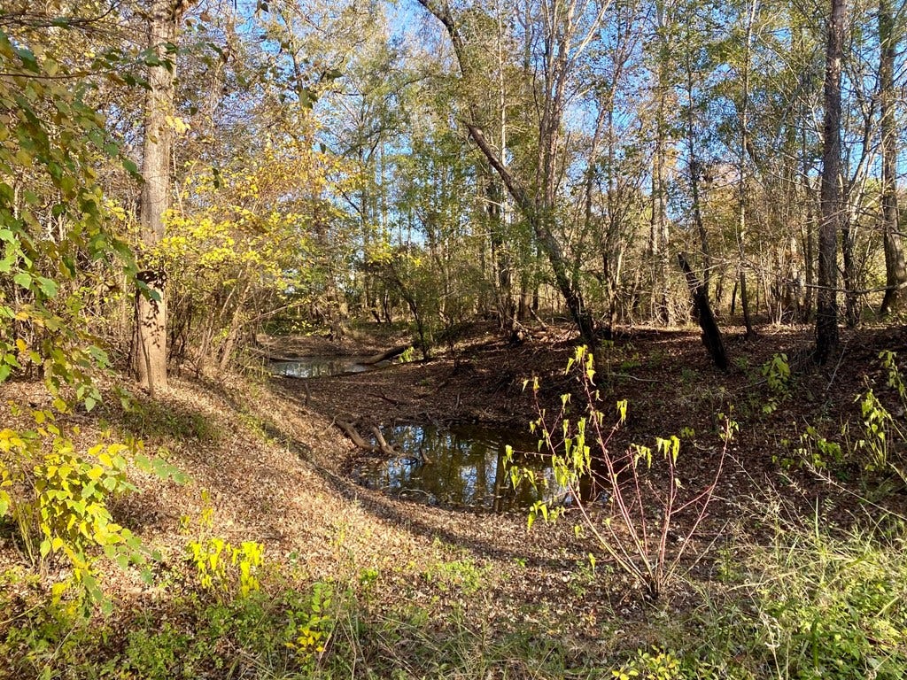 PARCEL #41258 Hwy 94, Lufkin, TX 75904
