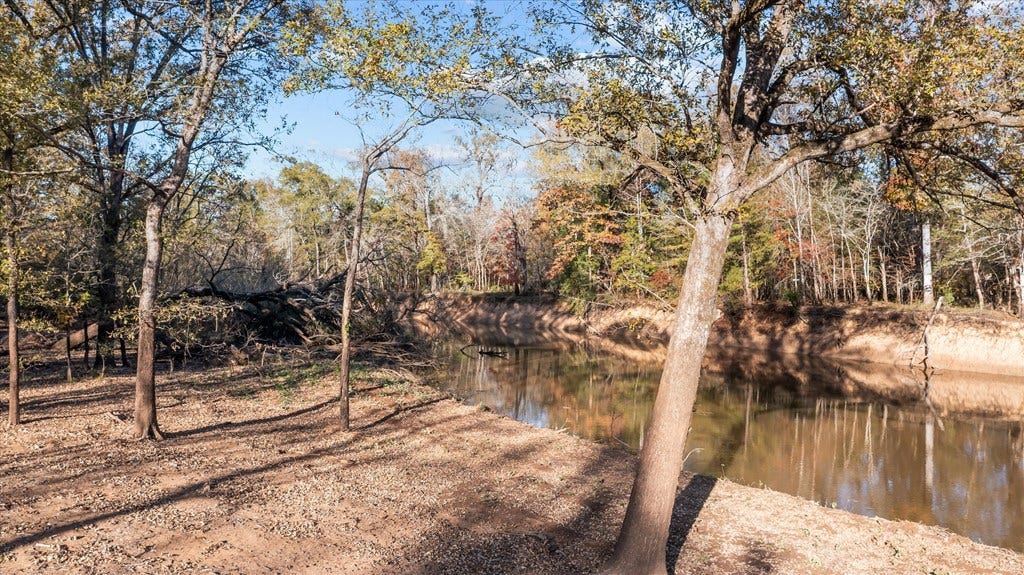 PARCEL #41258 Hwy 94, Lufkin, TX 75904