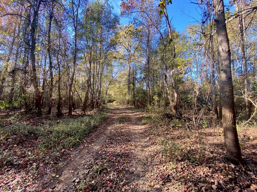 PARCEL #41258 Hwy 94, Lufkin, TX 75904