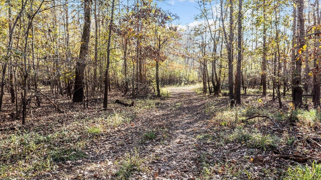 PARCEL #41258 Hwy 94, Lufkin, TX 75904