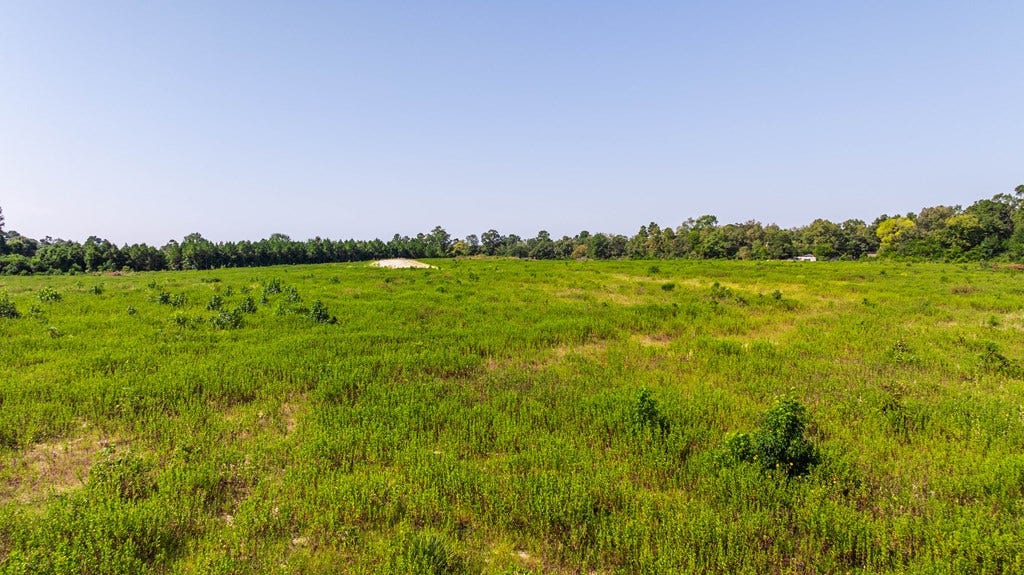 PID 85689 Park Street, Nacogdoches, TX 75965