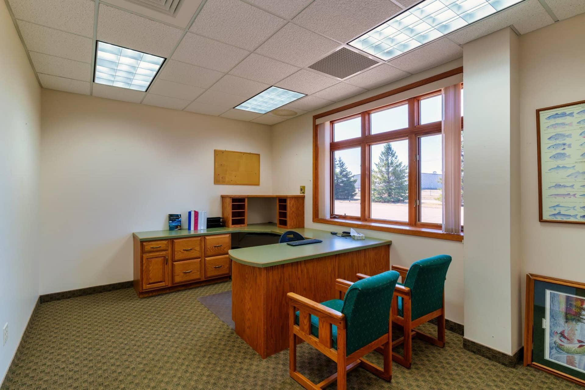 1001 Naylor Drive SE, Bemidji, MN 56601 Office.jpeg