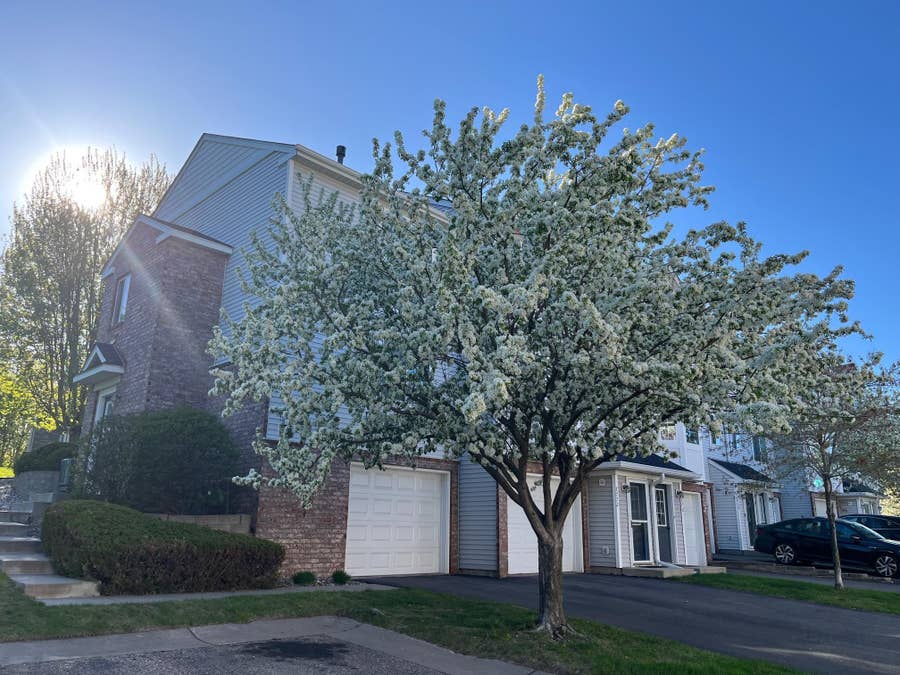 Property photo for 7774 Village Street, Chanhassen, MN