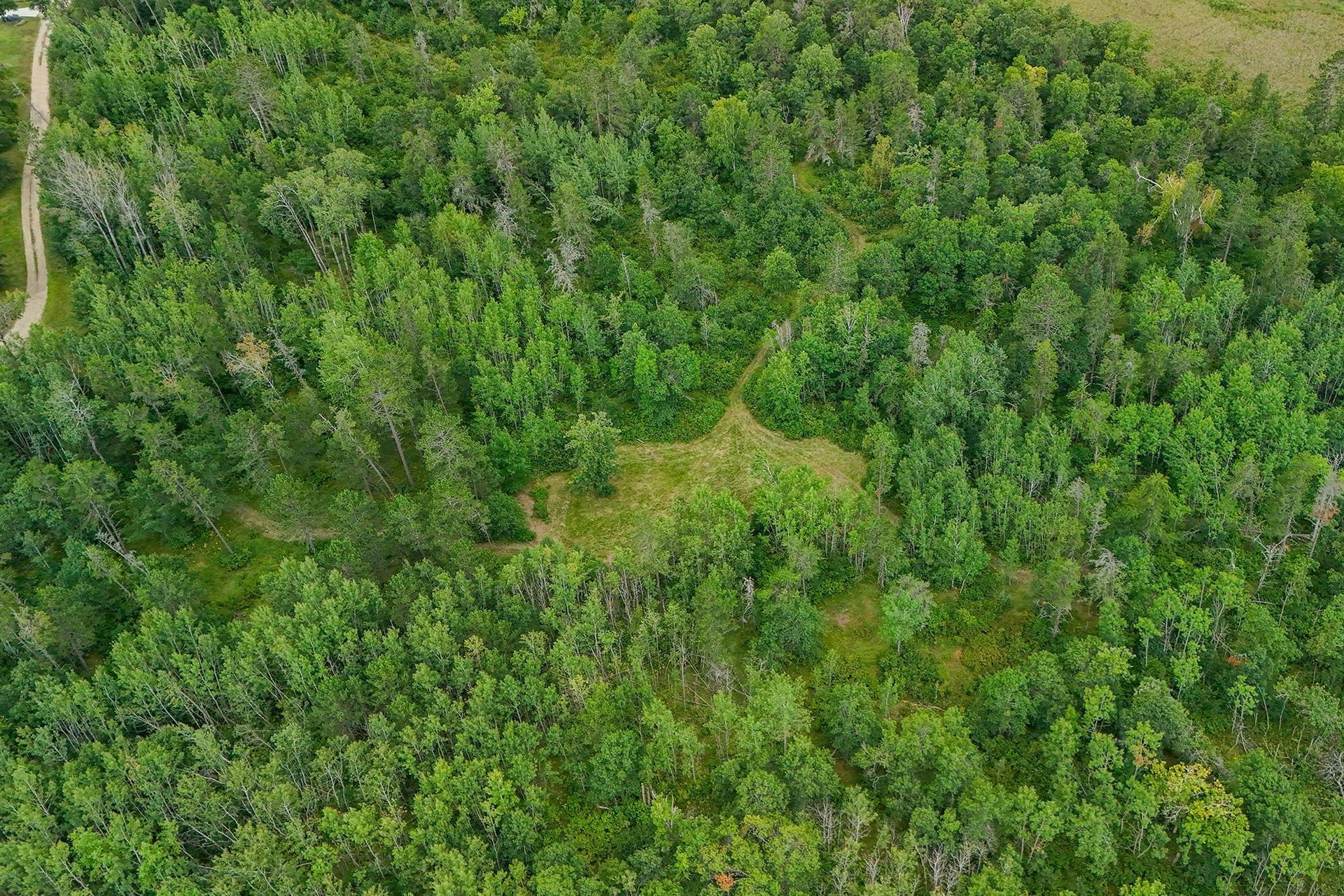 5415 Park Preserve Trail NE, Bemidji, MN 56601 Trail System.jpg