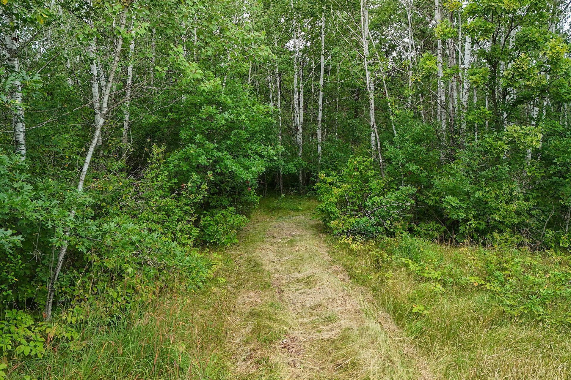 5415 Park Preserve Trail NE, Bemidji, MN 56601 Mowed Trails.jpg