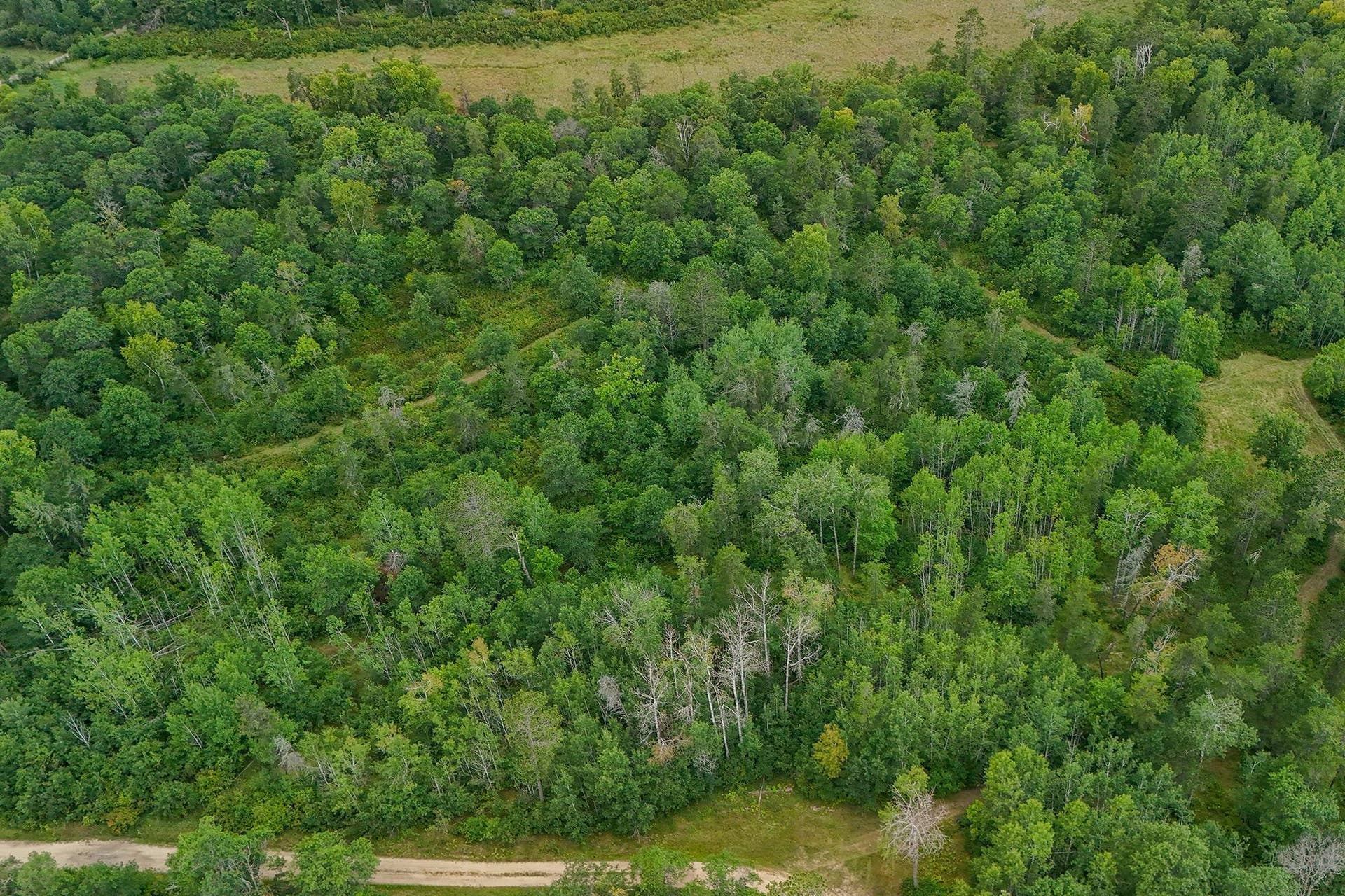 5415 Park Preserve Trail NE, Bemidji, MN 56601 24 Acres.jpg