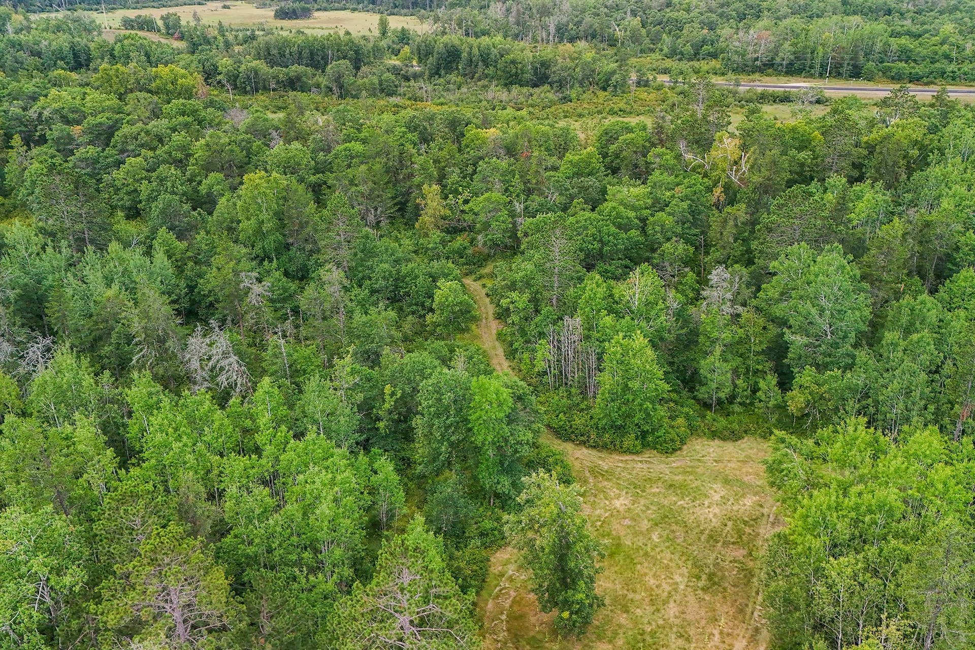 5415 Park Preserve Trail NE, Bemidji, MN 56601 Trail System with Clearing.jpg