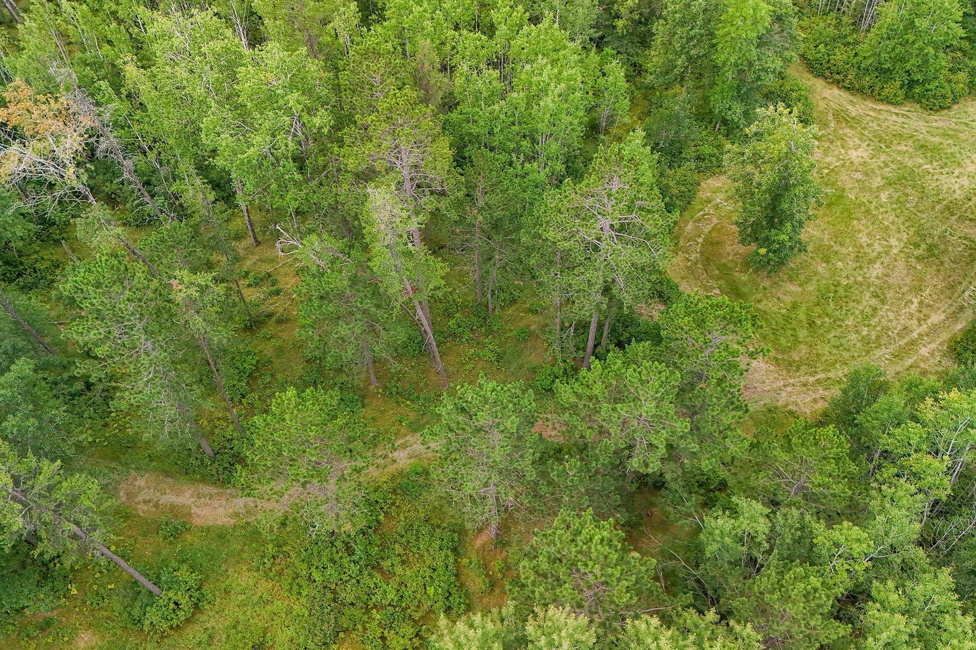 5415 Park Preserve Trail NE, Bemidji, MN 56601 Trails.jpg