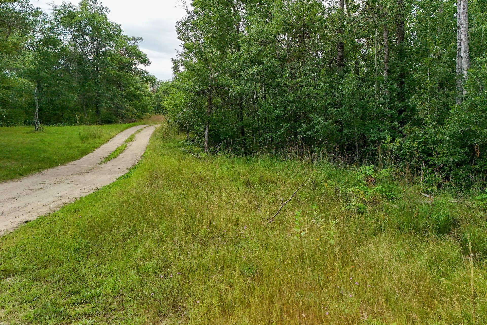 5415 Park Preserve Trail NE, Bemidji, MN 56601 Entrance Road.jpg
