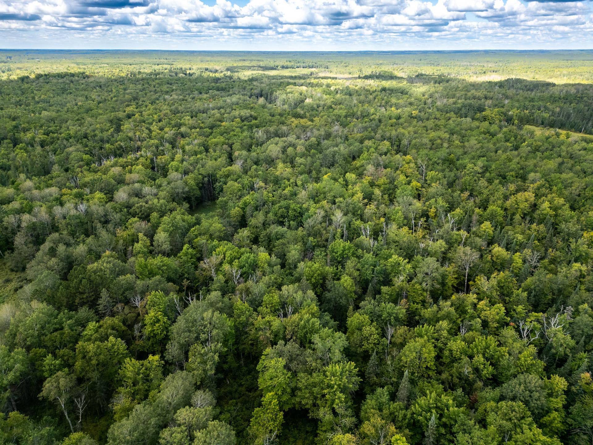 48029 110th Place, Tamarack, MN 55787 110th pl-11.jpg