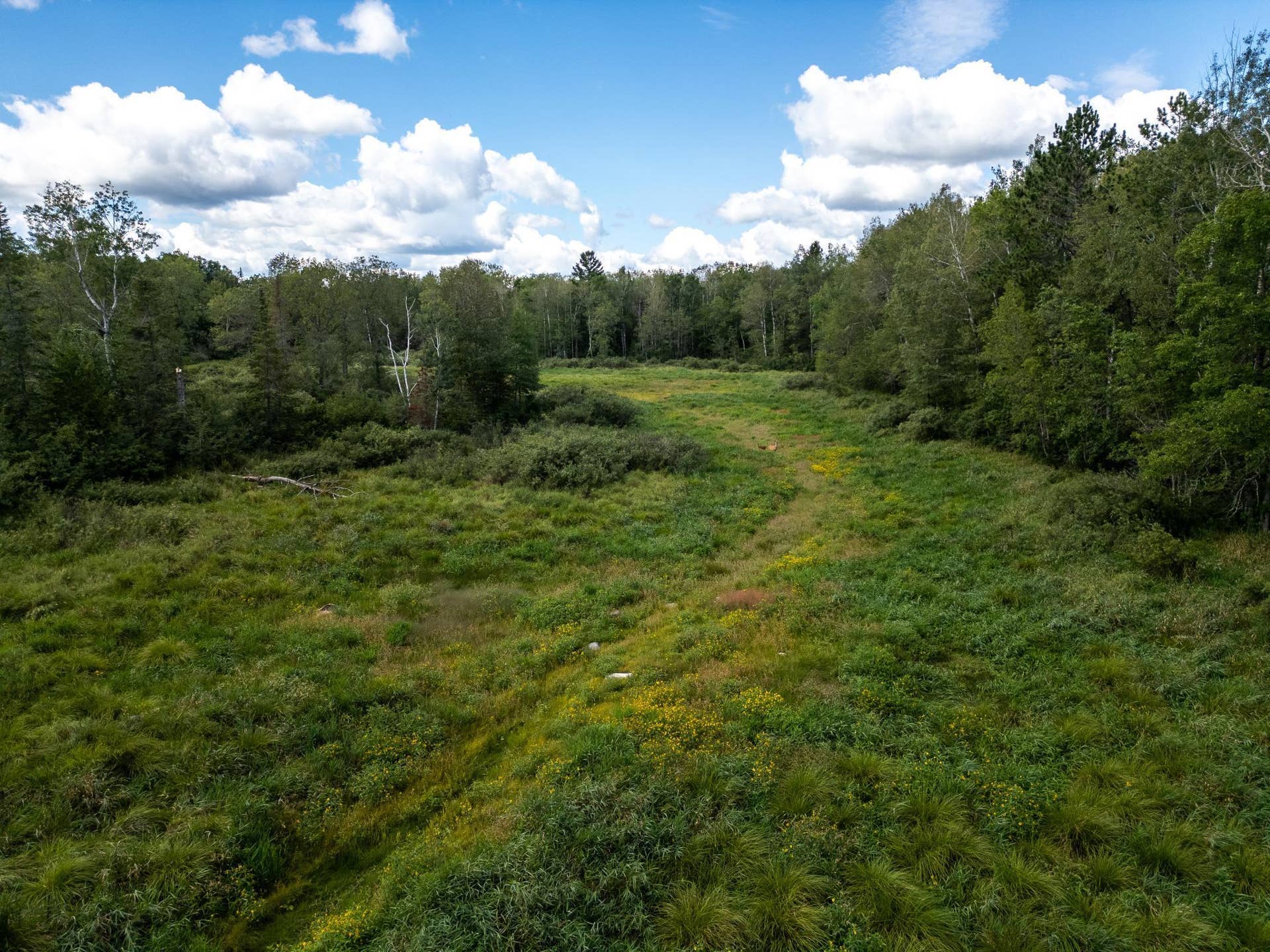 48029 110th Place, Tamarack, MN 55787 110th pl-6.jpg