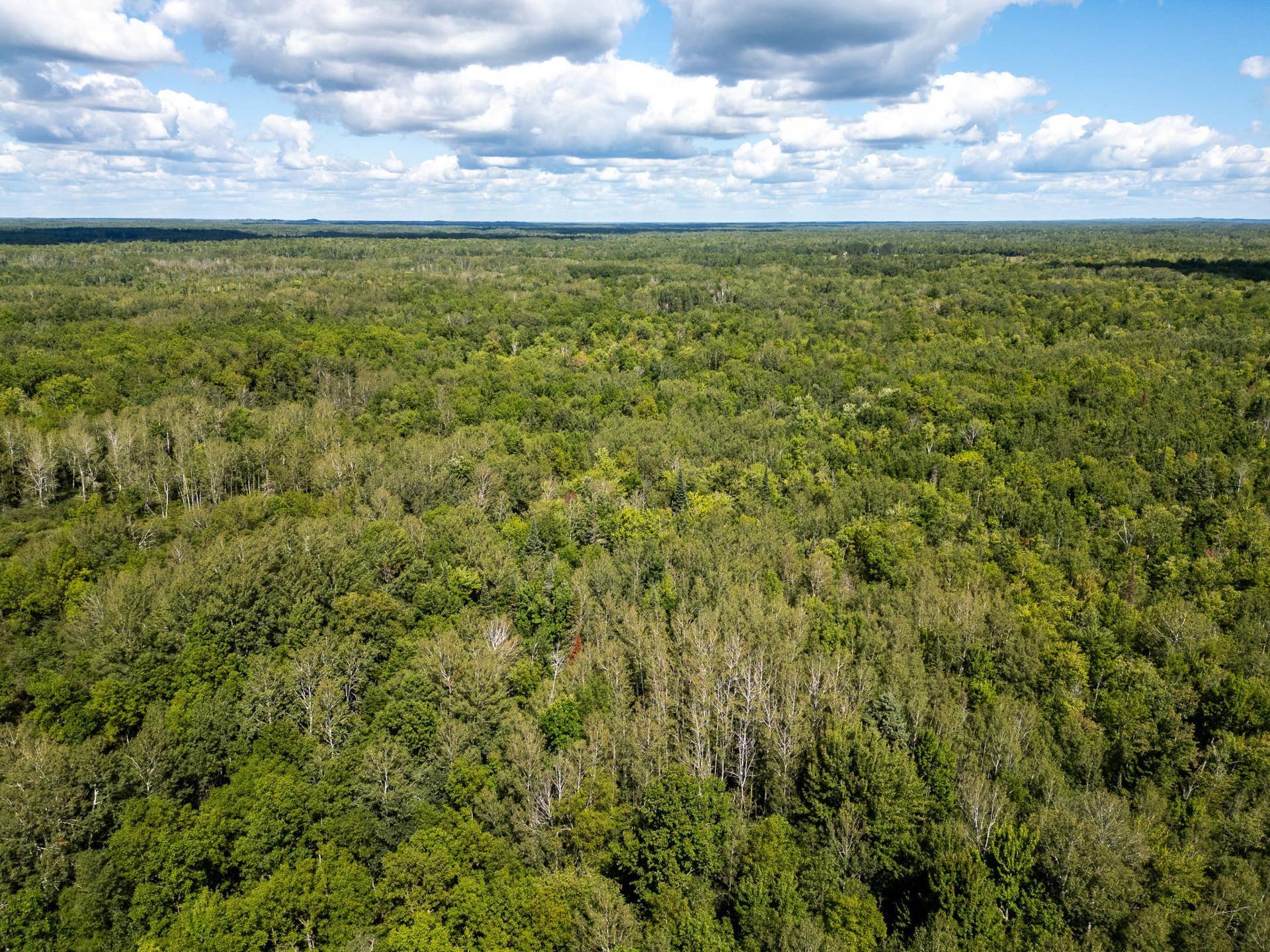 48029 110th Place, Tamarack, MN 55787 110th pl-31.jpg