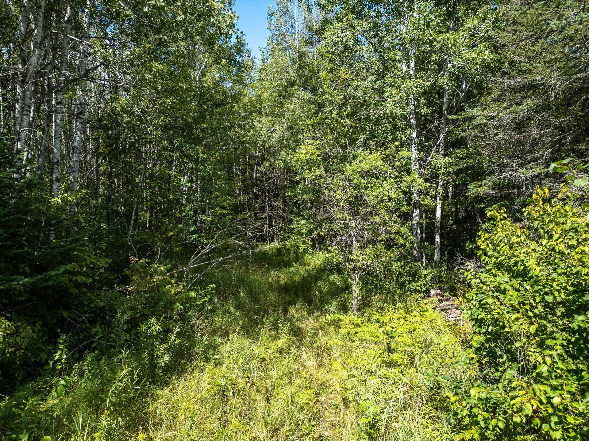 48029 110th Place, Tamarack, MN 55787 110th pl-24.jpg