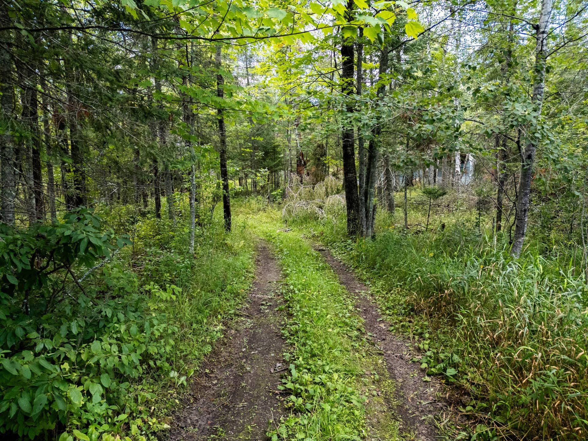 48029 110th Place, Tamarack, MN 55787 110th pl-2.jpg