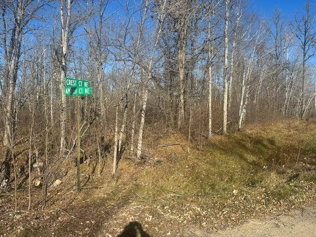 TBD Crest Court NE, Bemidji, MN 56601 Corner of Apollo Ct & Crest Ct.jpeg