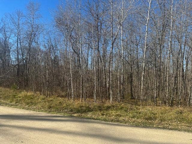 TBD Crest Court NE, Bemidji, MN 56601 5+ Acres.jpeg