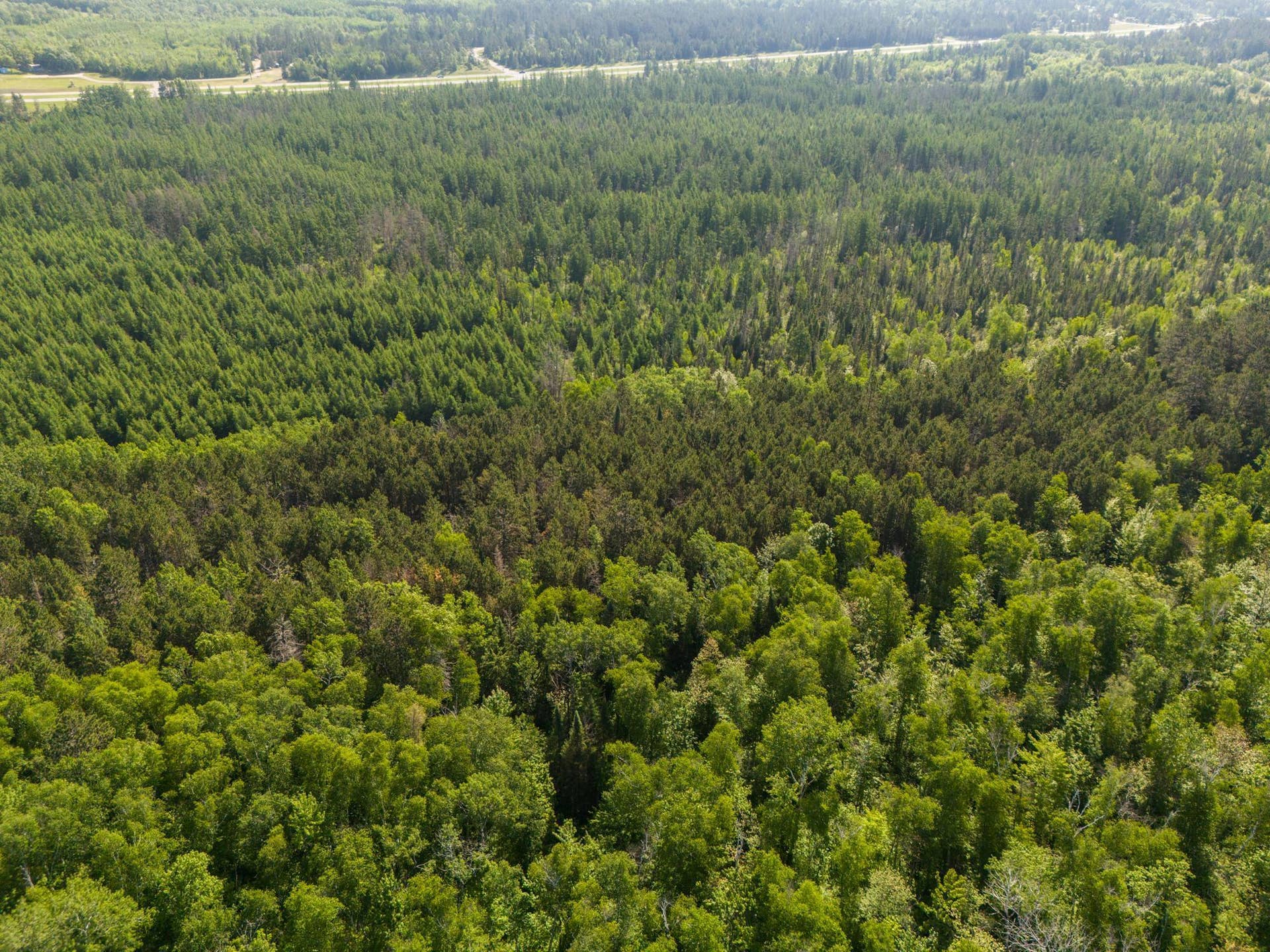 TBD N Plantangenet Road SE, Bemidji, MN 56601 Photo 7.JPG