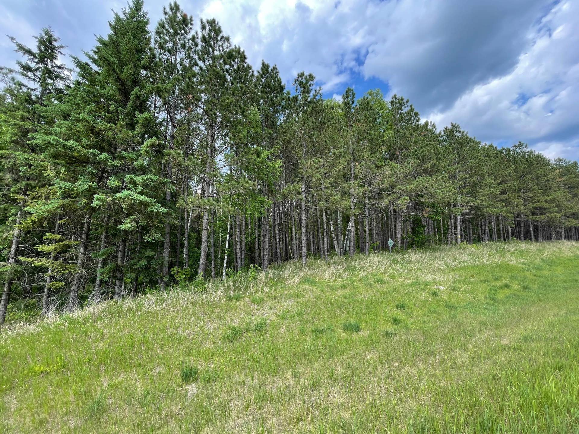 TBD N Plantangenet Road SE, Bemidji, MN 56601 7.jpg
