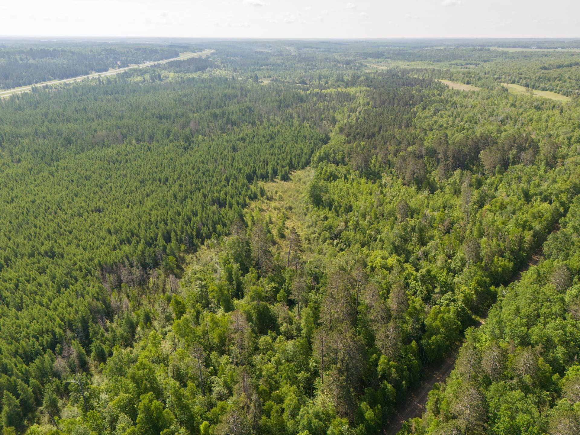 TBD N Plantangenet Road SE, Bemidji, MN 56601 Photo 10.JPG