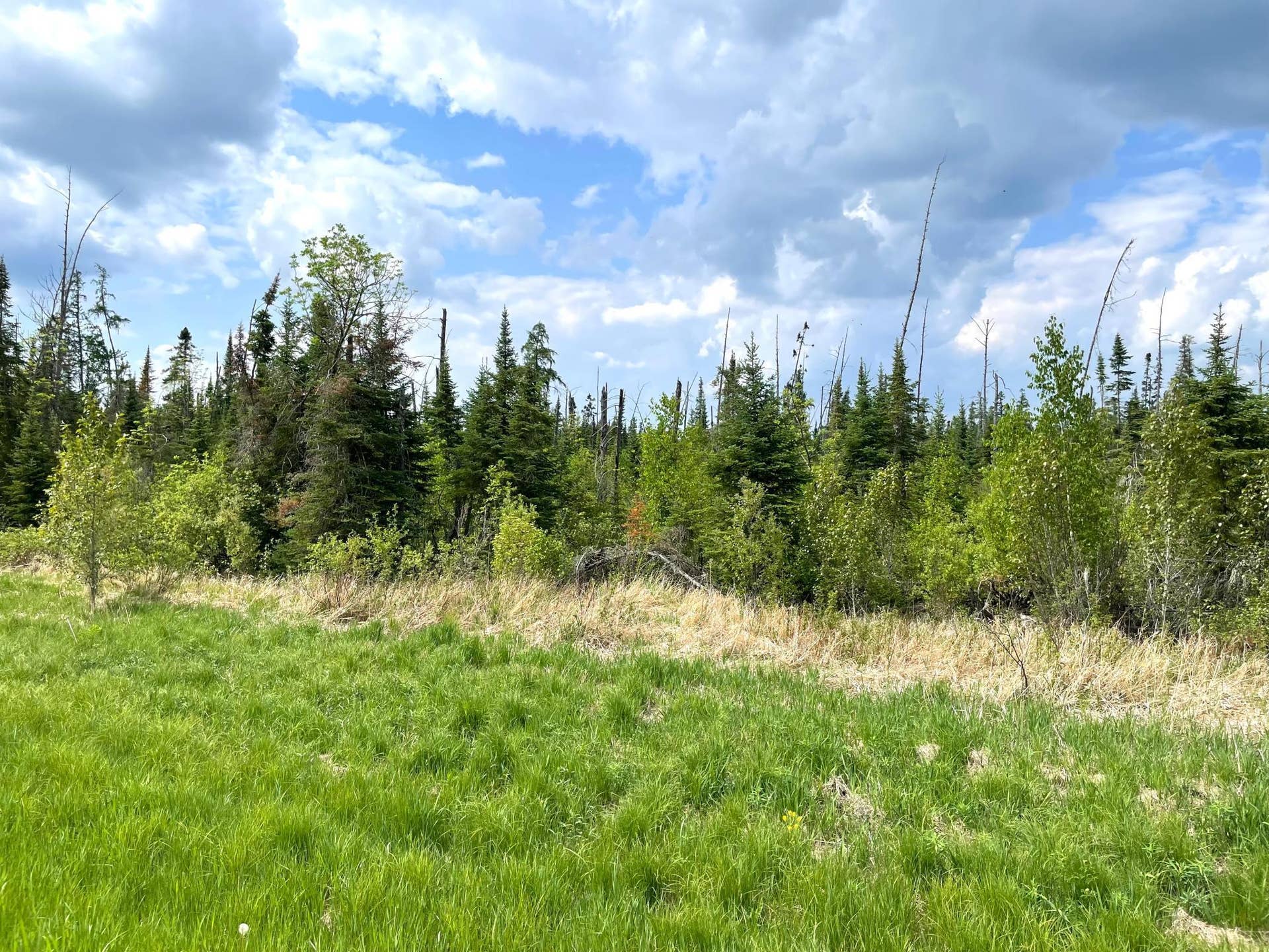 TBD N Plantangenet Road SE, Bemidji, MN 56601 3.jpg