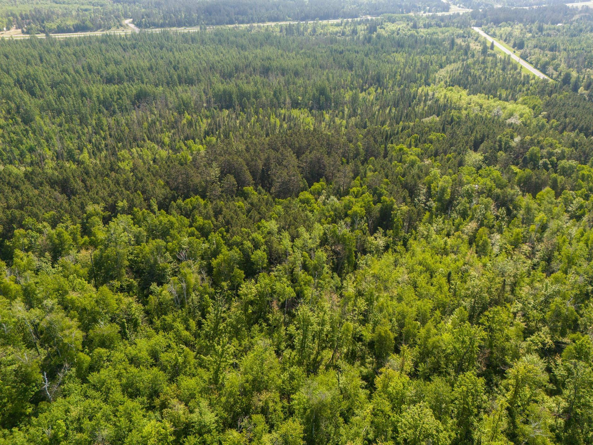 TBD N Plantangenet Road SE, Bemidji, MN 56601 Photo 6.JPG