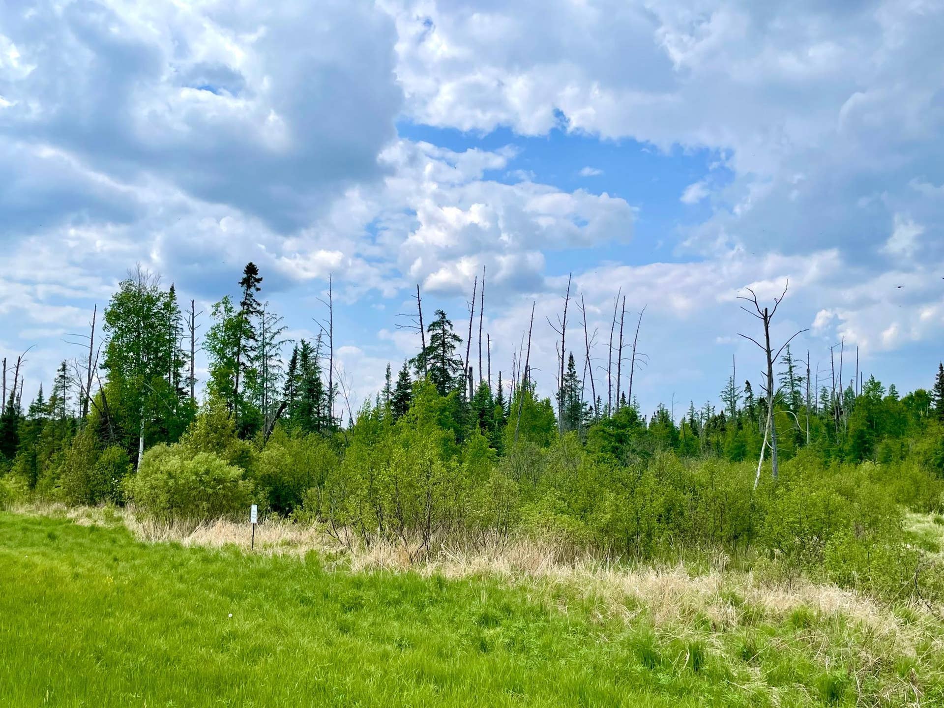 TBD N Plantangenet Road SE, Bemidji, MN 56601 2.jpg