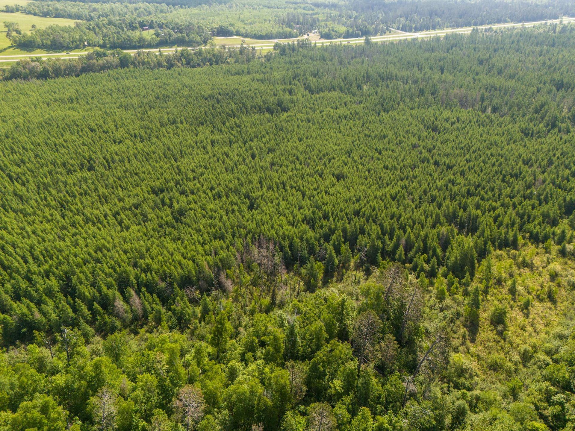 TBD N Plantangenet Road SE, Bemidji, MN 56601 Photo 9.JPG
