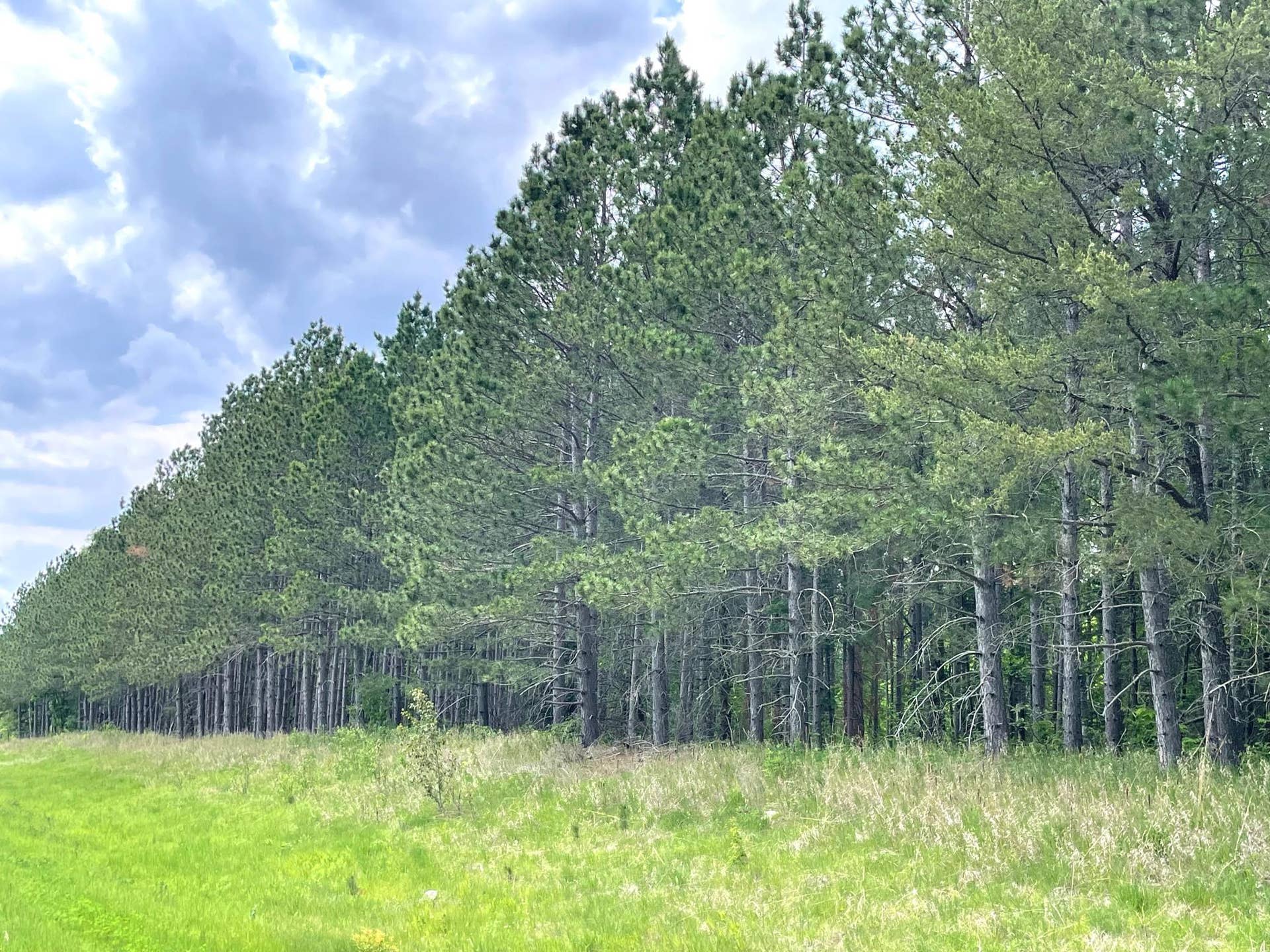 TBD N Plantangenet Road SE, Bemidji, MN 56601 5.jpg