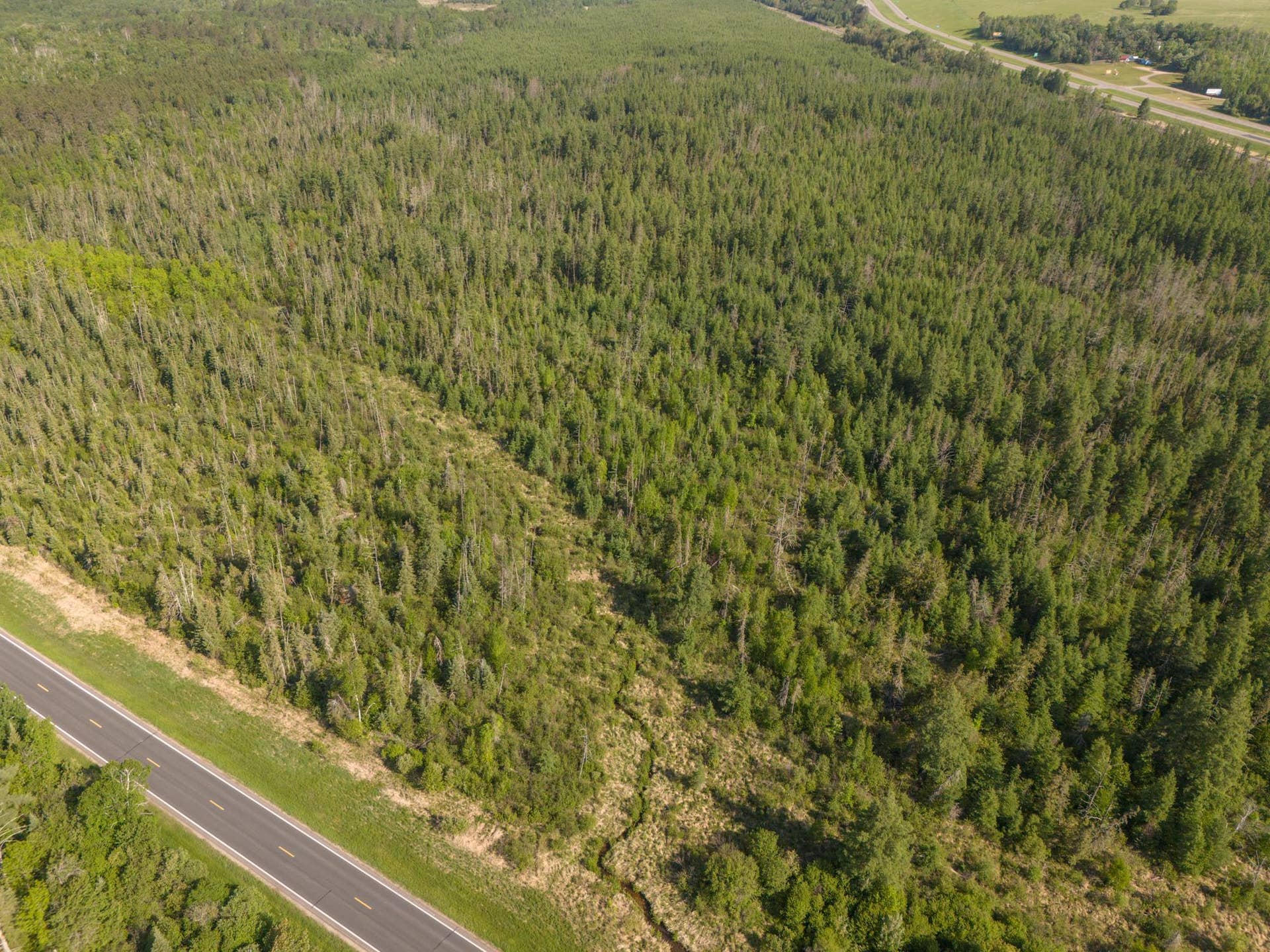 TBD N Plantangenet Road SE, Bemidji, MN 56601 Photo 2.JPG
