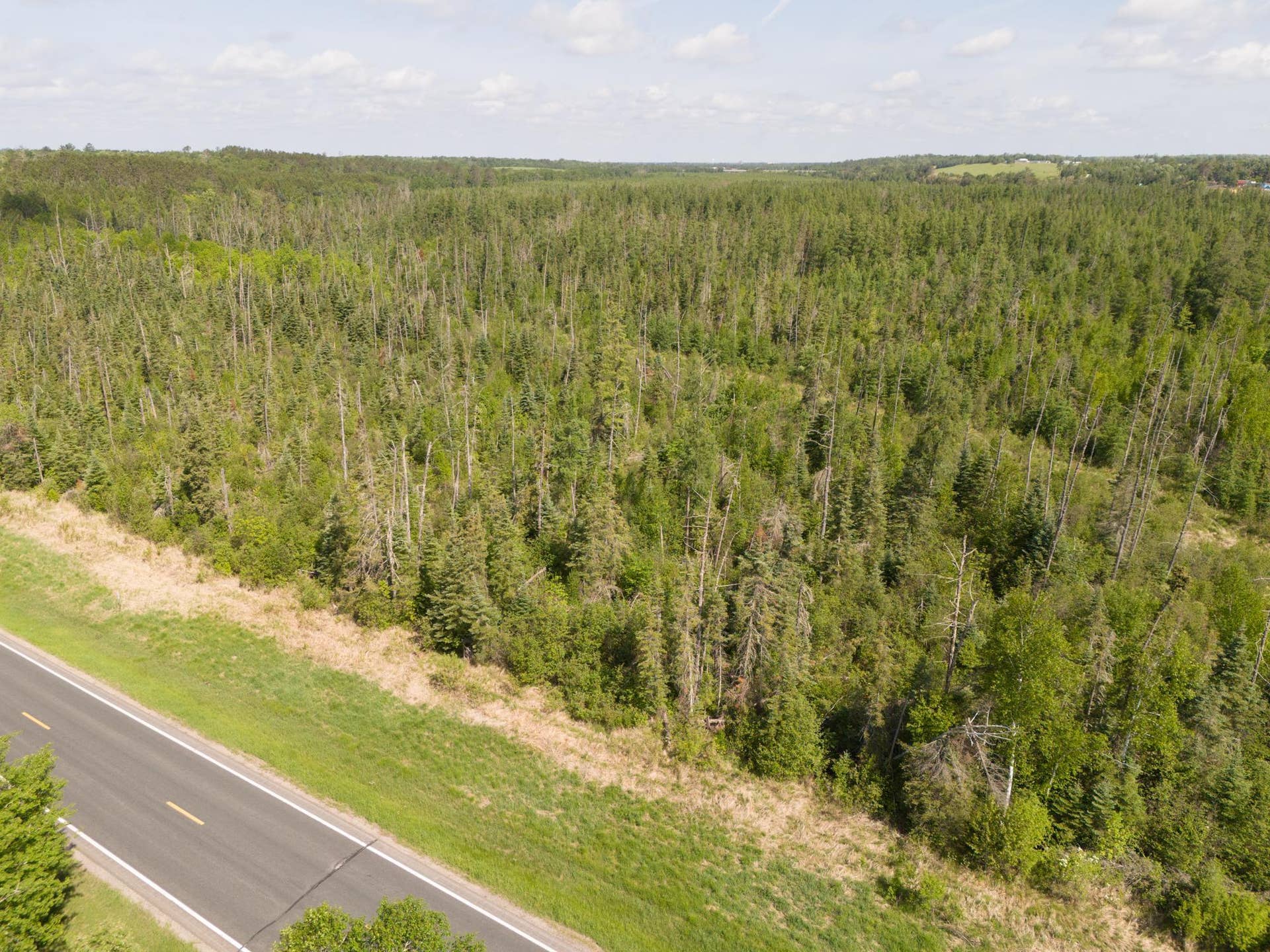 TBD N Plantangenet Road SE, Bemidji, MN 56601 Photo -26.JPG