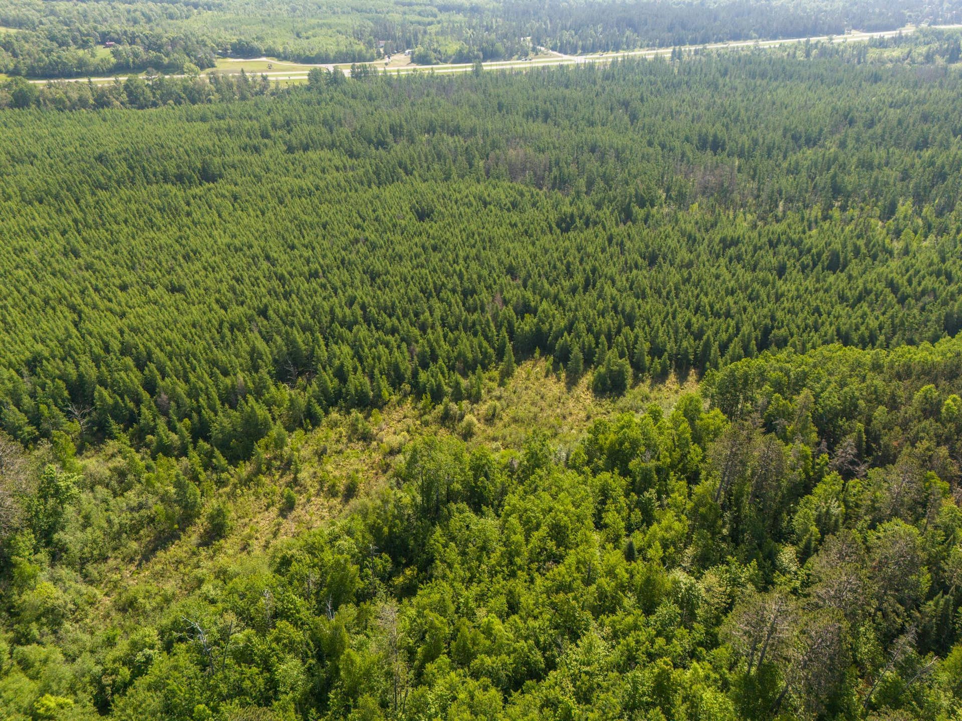 TBD N Plantangenet Road SE, Bemidji, MN 56601 Photo 8.JPG