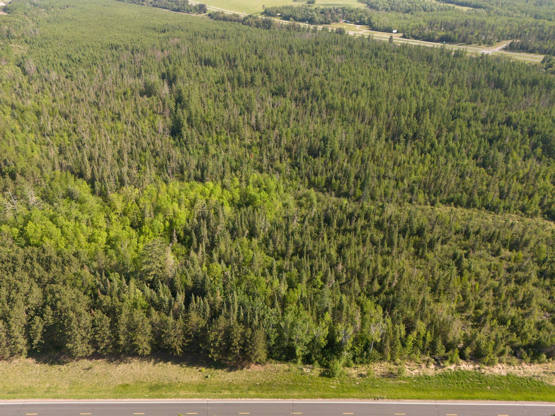 TBD N Plantangenet Road SE, Bemidji, MN 56601 Photo 3.JPG