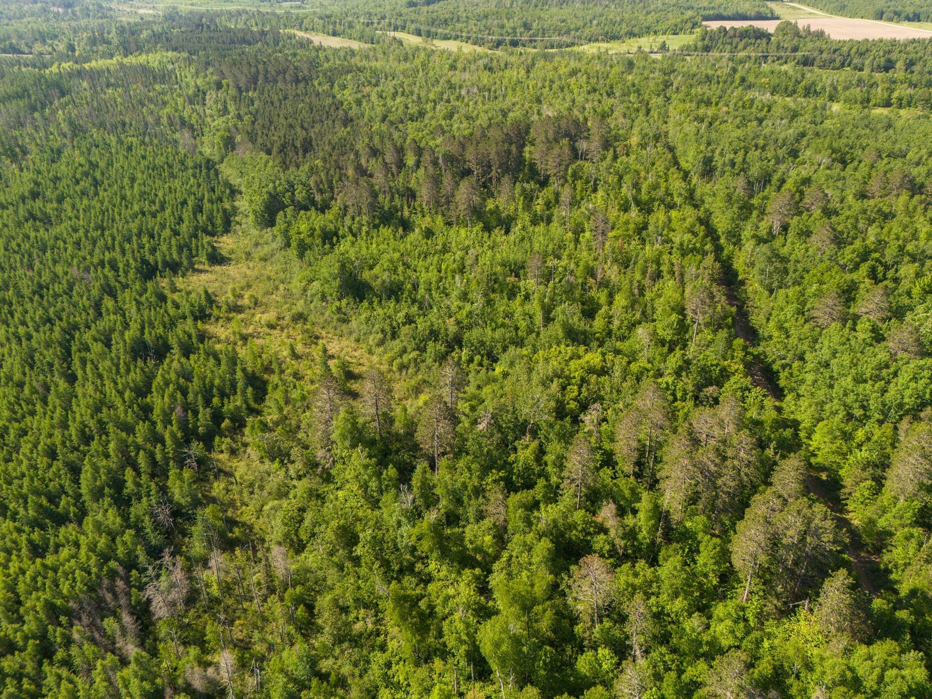 TBD N Plantangenet Road SE, Bemidji, MN 56601 Photo -11.JPG