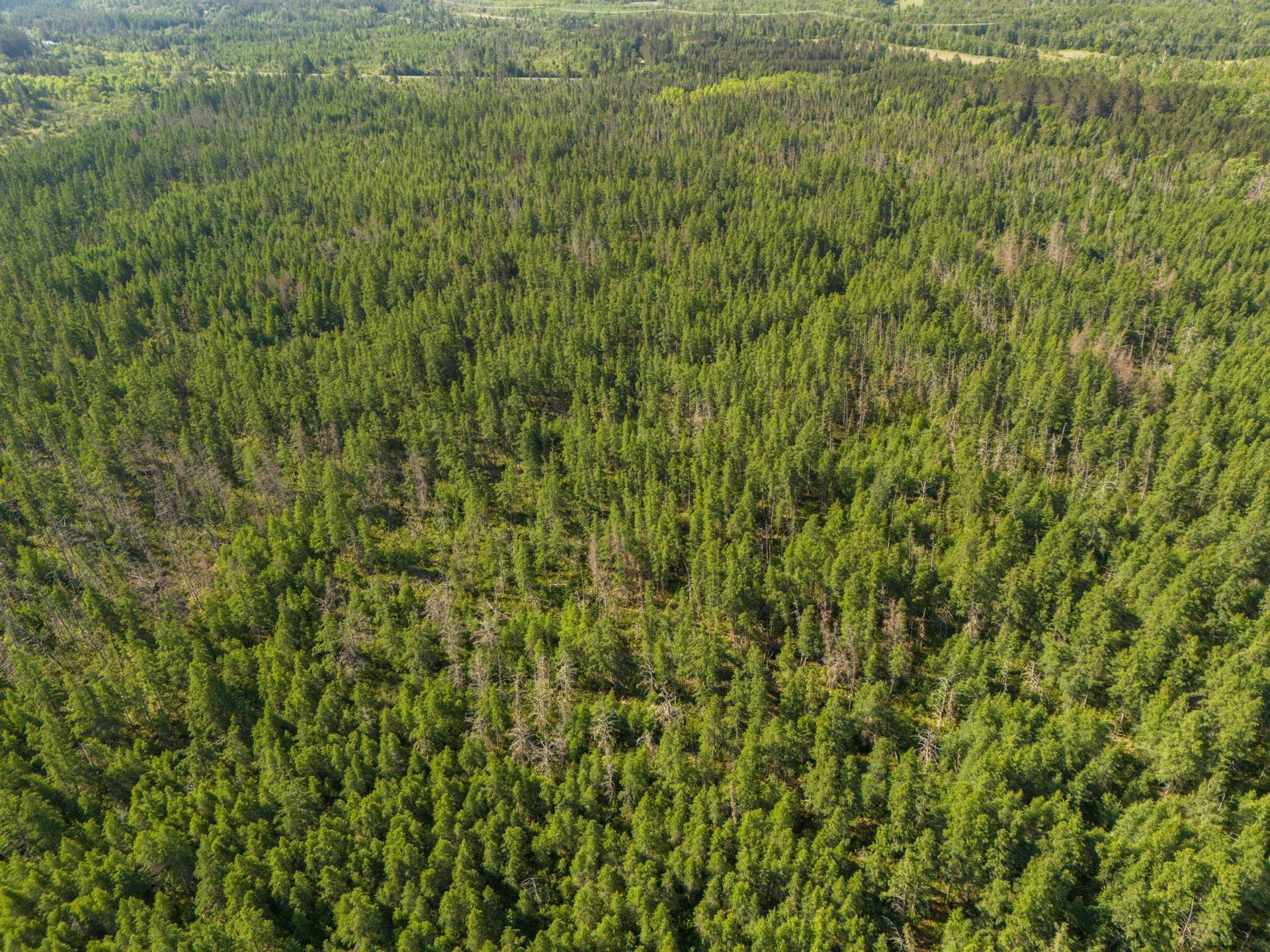 TBD N Plantangenet Road SE, Bemidji, MN 56601 Photo -13.JPG