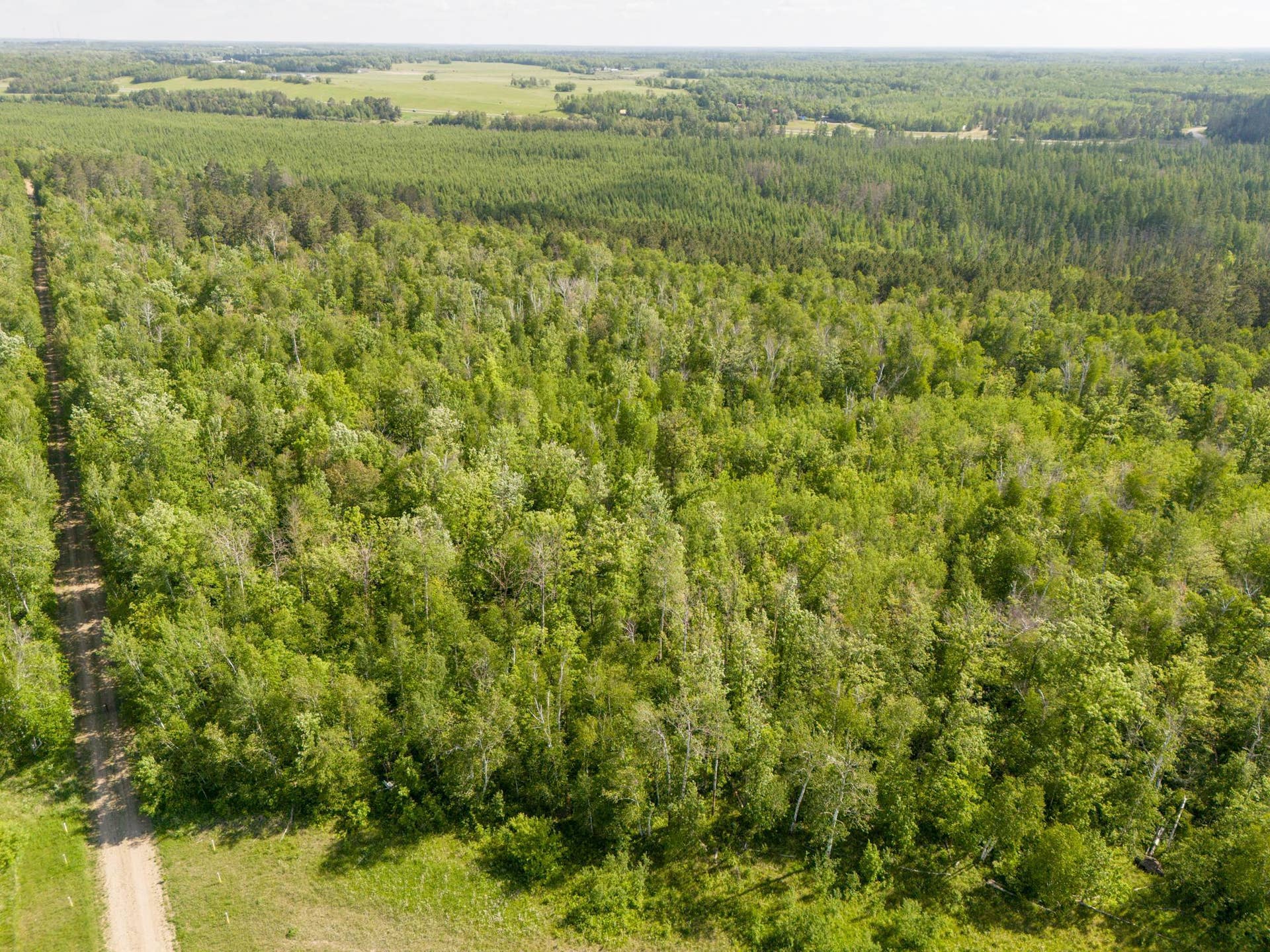 TBD N Plantangenet Road SE, Bemidji, MN 56601 Photo 4.JPG