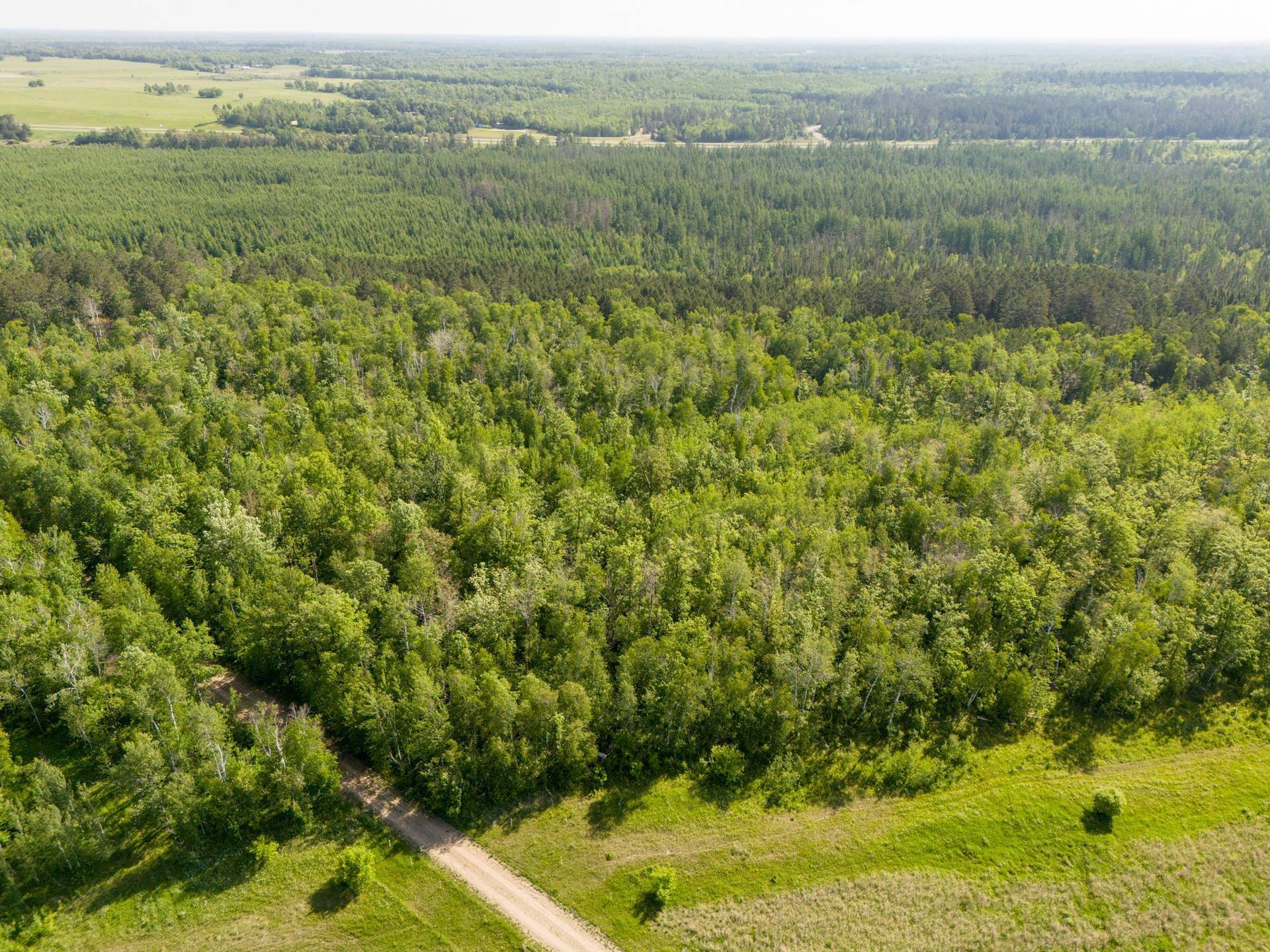 TBD N Plantangenet Road SE, Bemidji, MN 56601 Photo 5.JPG