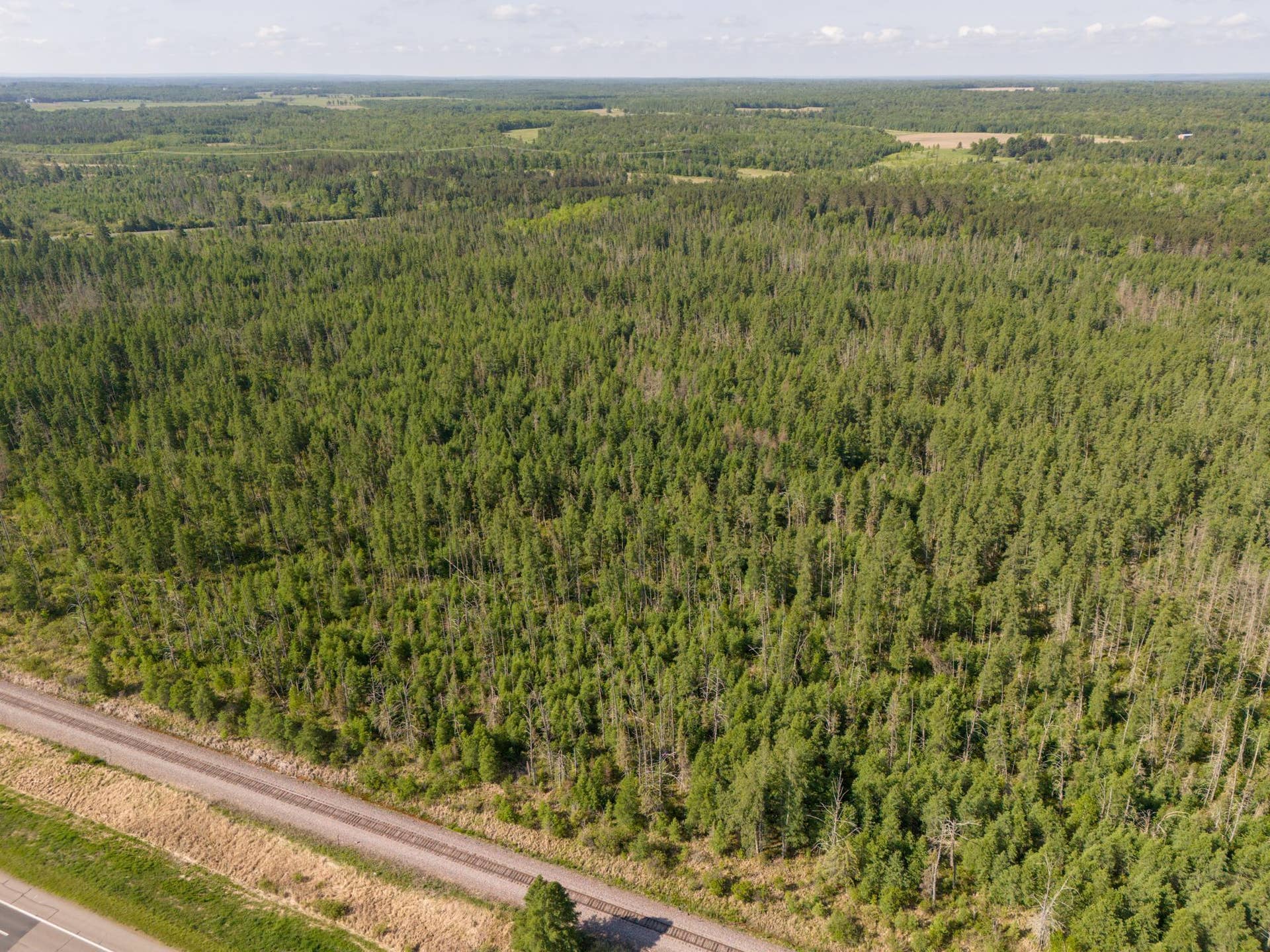 TBD N Plantangenet Road SE, Bemidji, MN 56601 Photo -14.JPG