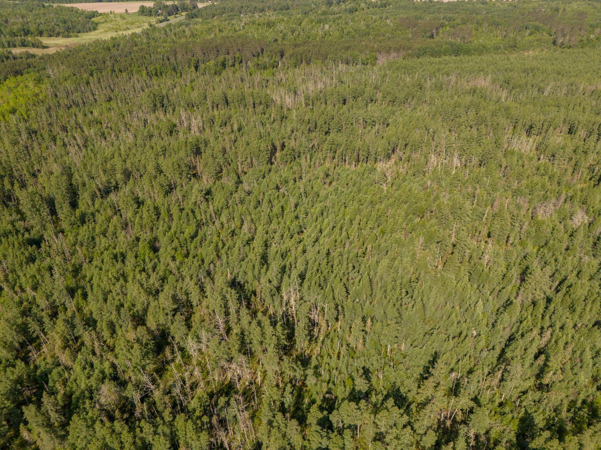 TBD N Plantangenet Road SE, Bemidji, MN 56601 Photo -17.JPG