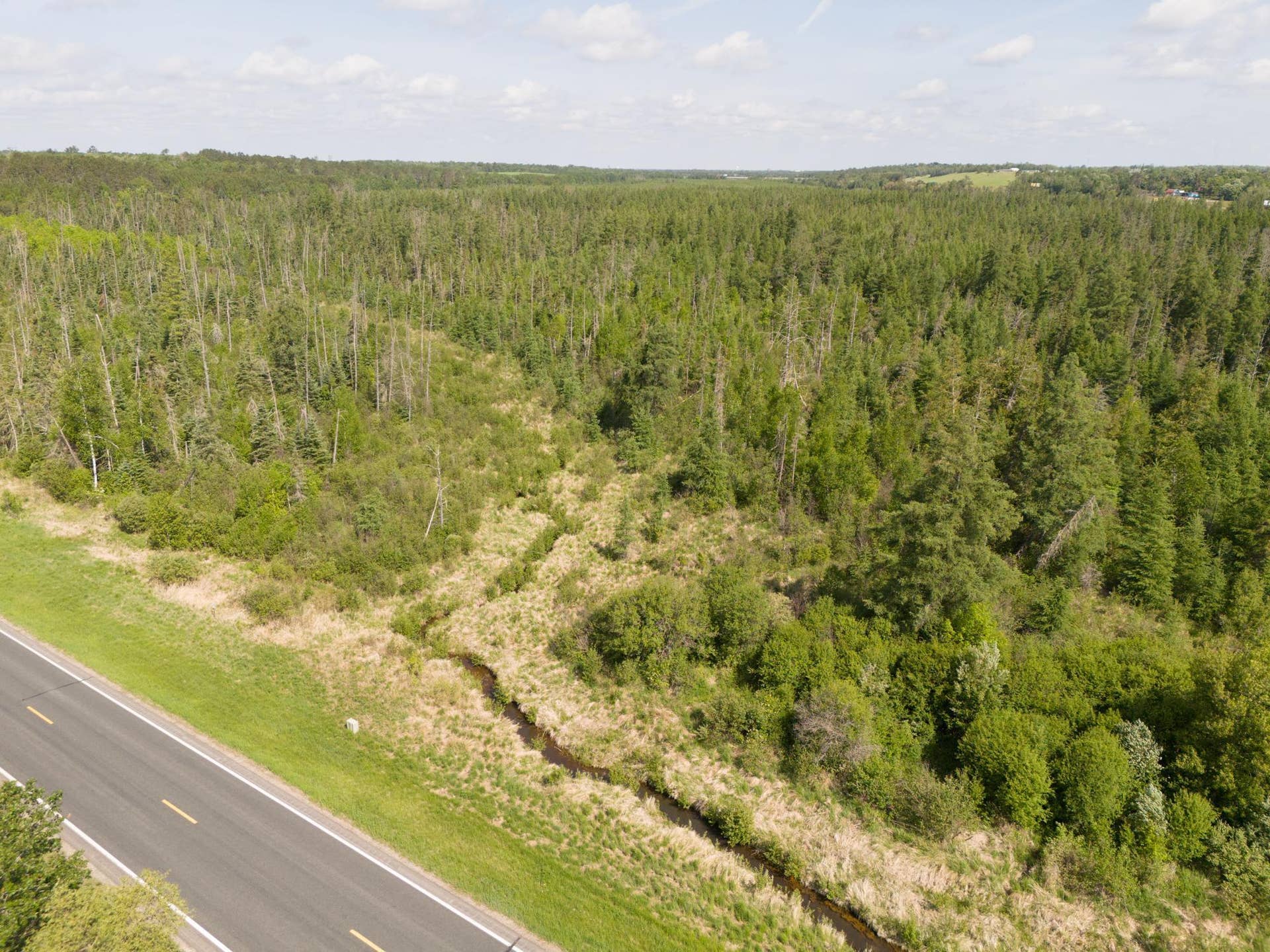 TBD N Plantangenet Road SE, Bemidji, MN 56601 Photo -25.JPG