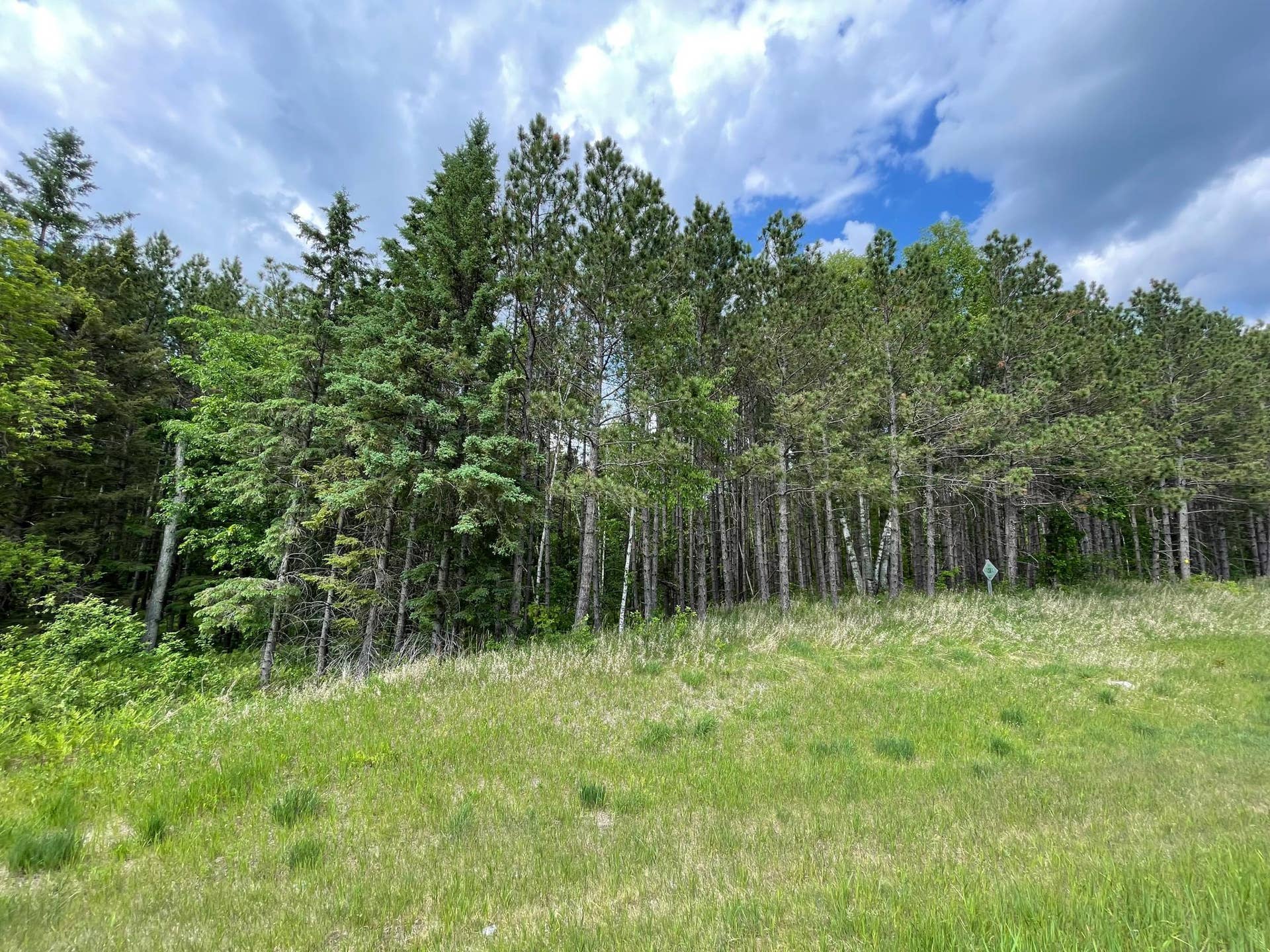 TBD N Plantangenet Road SE, Bemidji, MN 56601 6.jpg