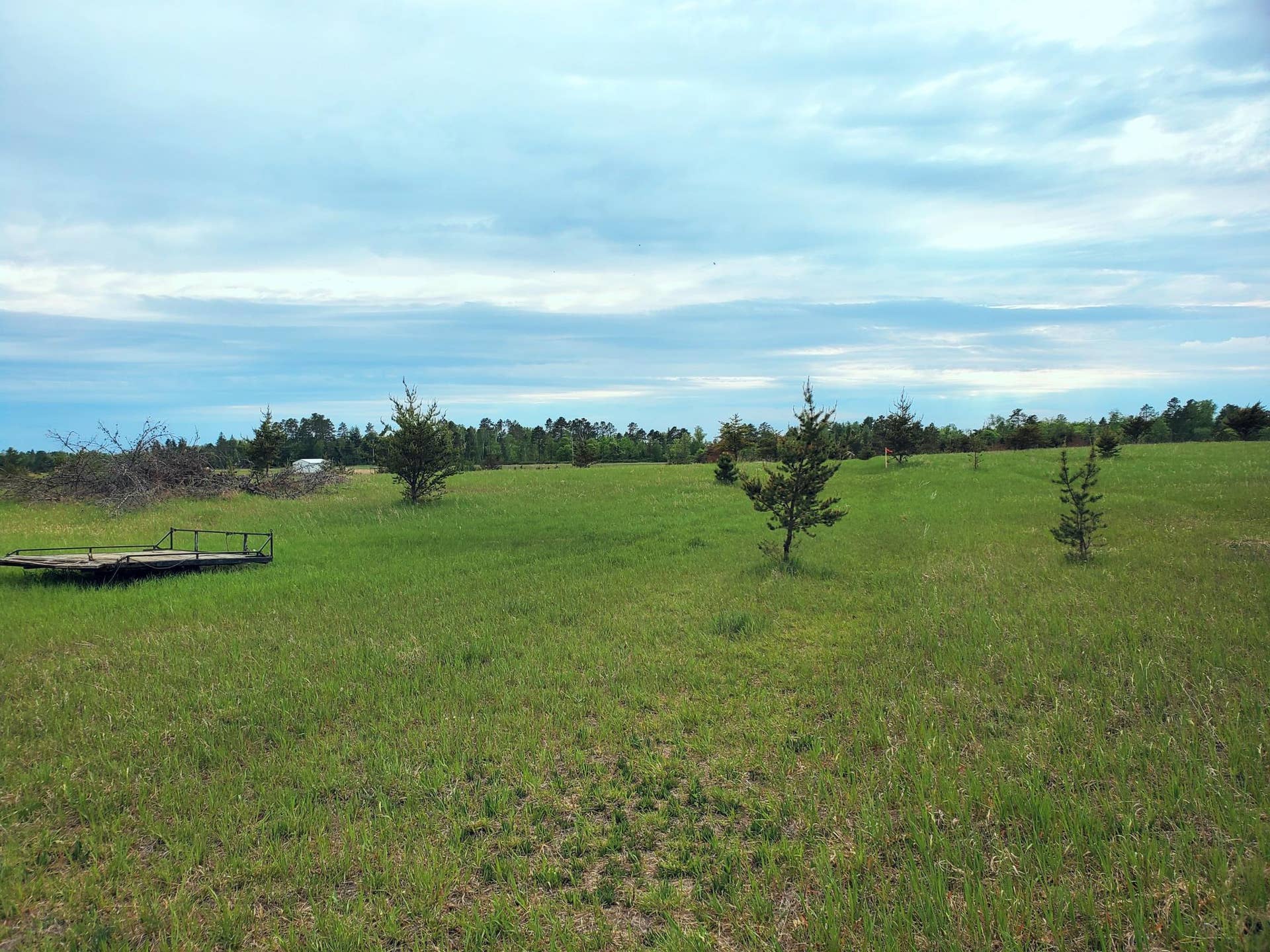 tbd Cattail Lane E, Bemidji, MN 56601 5 acres