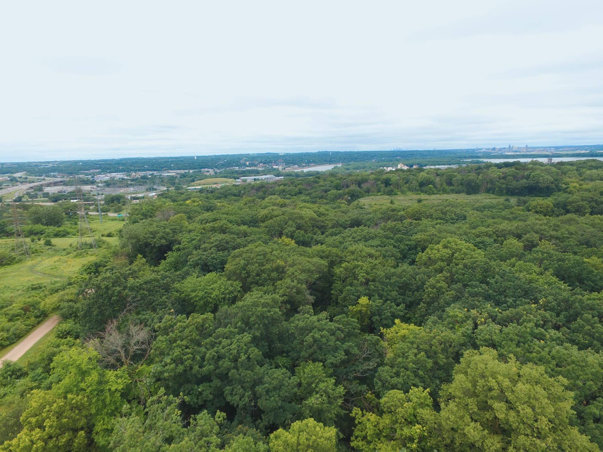 TBD Sterling Street S, Maplewood, MN 55119 DJI_0129 - Copy.JPG