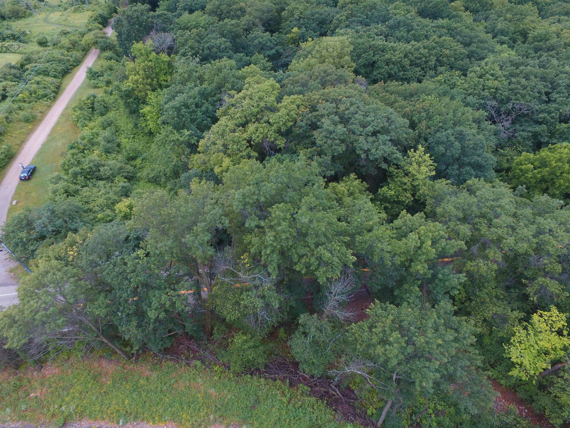 TBD Sterling Street S, Maplewood, MN 55119 DJI_0130.JPG
