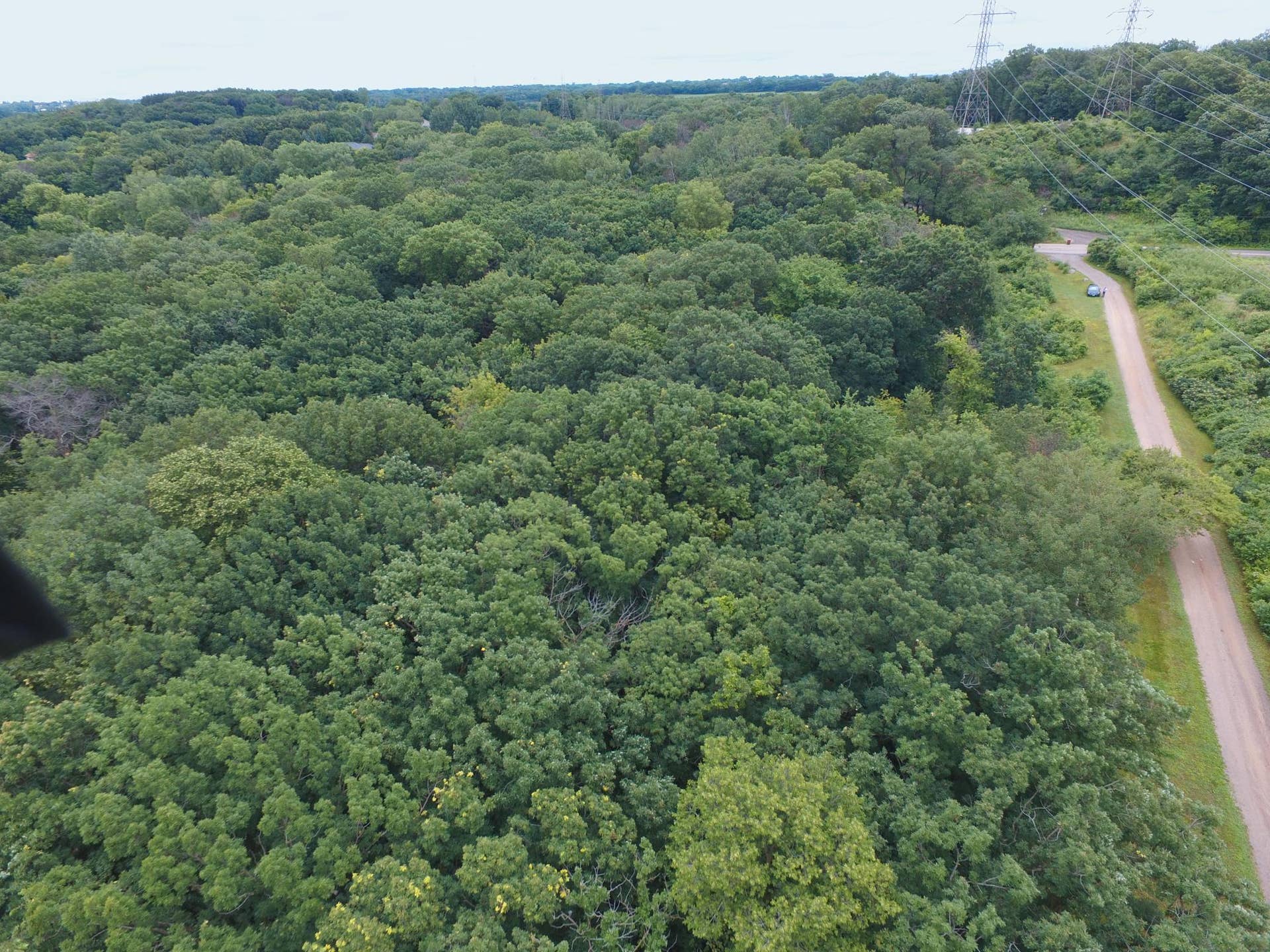 TBD Sterling Street S, Maplewood, MN 55119 DJI_0124.JPG