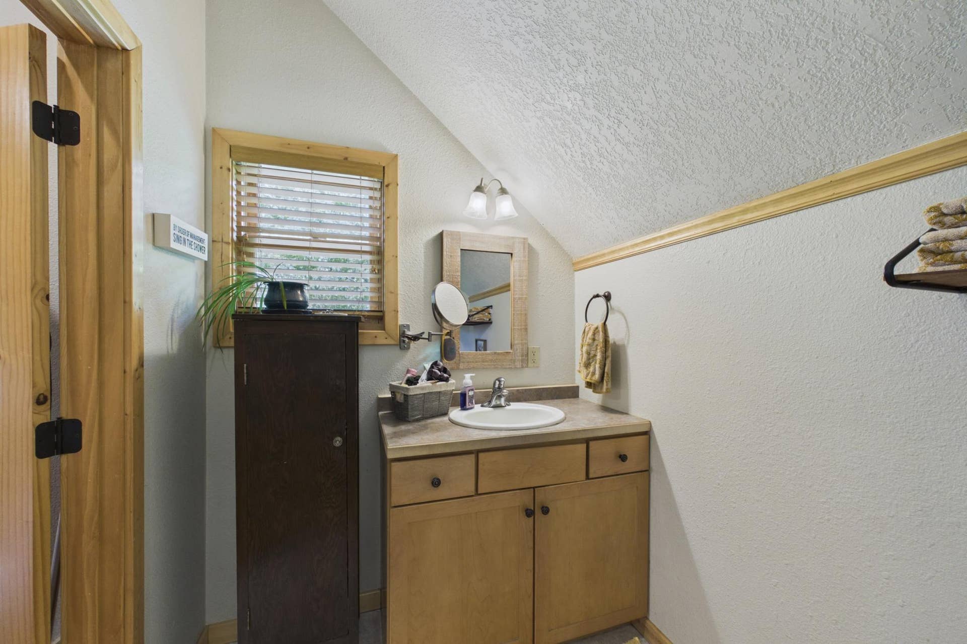 454 Wagon Wheel Drive SE, #17, Bemidji, MN 56601 20_1 (24).jpg