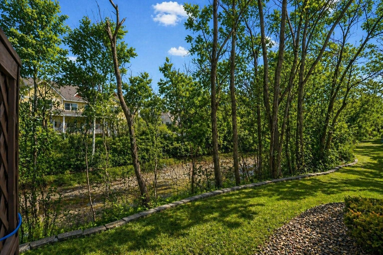 7040 49th Street N, Oakdale, MN 55128 7040 49th Side yard & trees.jpg