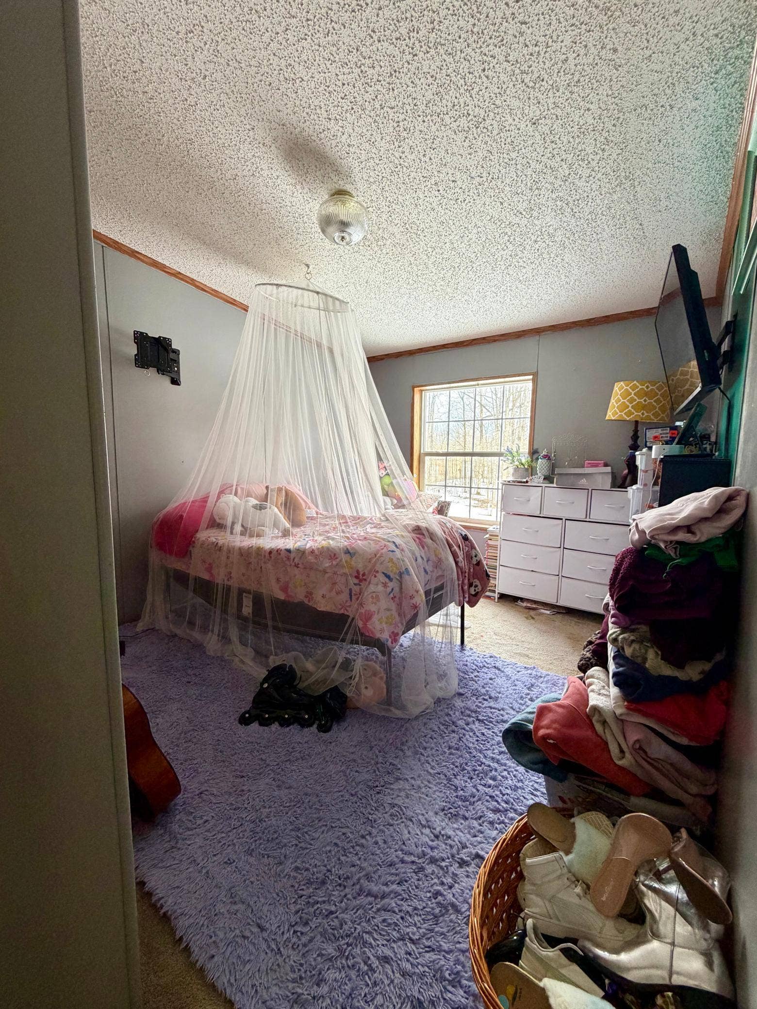 3911 Alder Street NE, Bemidji, MN 56601 IMG_7365.jpg