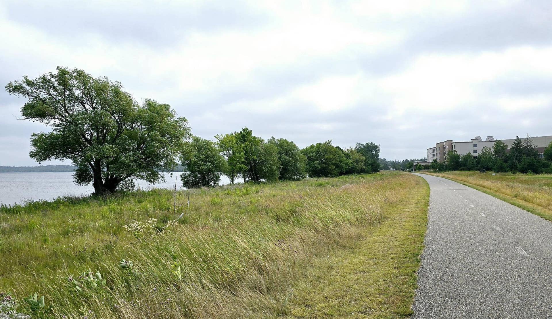 Natural shoreline.jpg