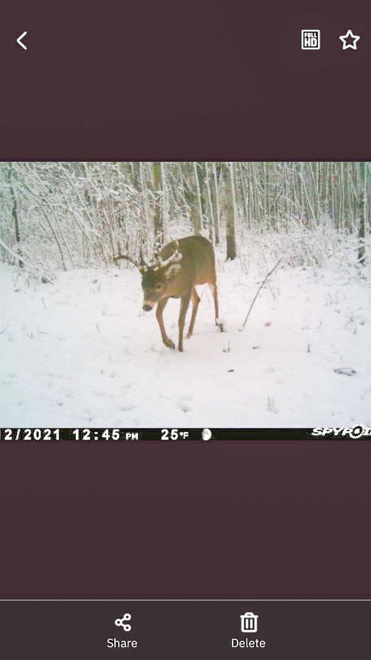 TBD 15th Street NW, Bemidji, MN 56601 Screenshot 2021-11-12 at 1.18.15 PM.JPEG